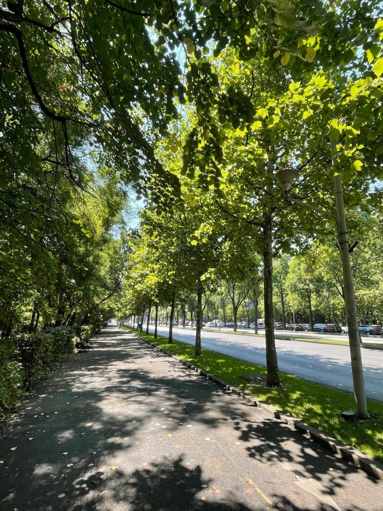 Parcul Herastrau Bucuresti